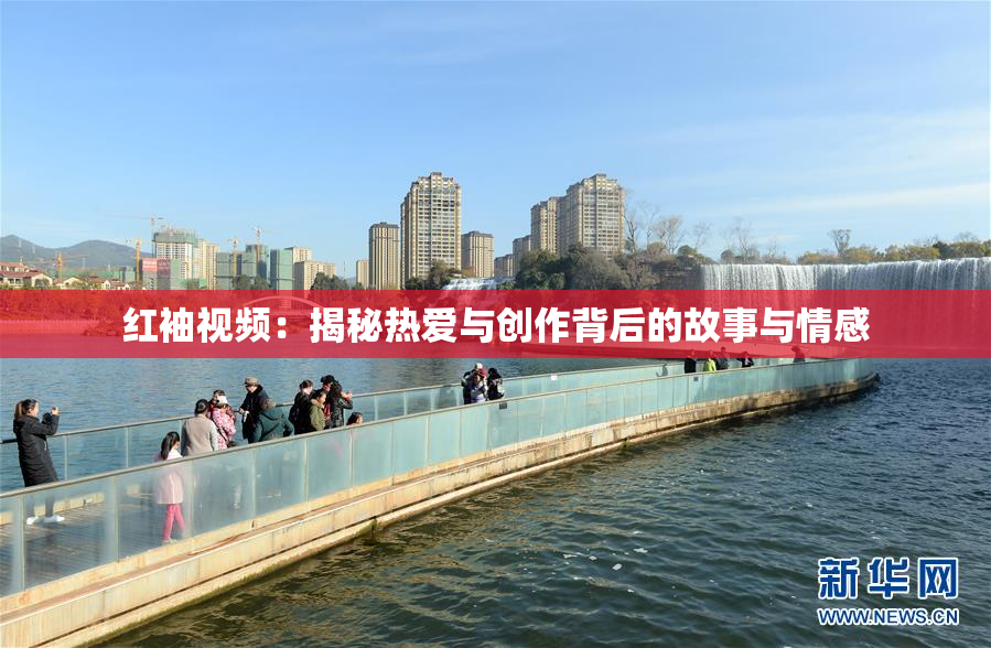 红袖视频：揭秘热爱与创作背后的故事与情感