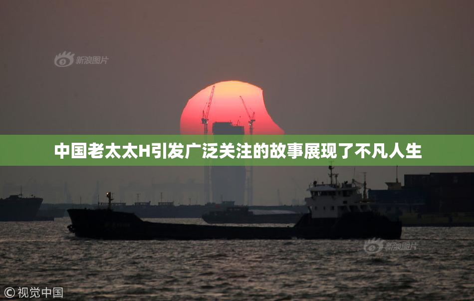 中国老太太H引发广泛关注的故事展现了不凡人生