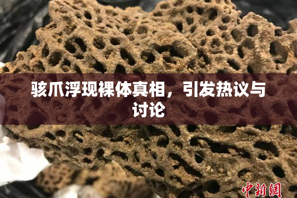 骇爪浮现裸体真相，引发热议与讨论