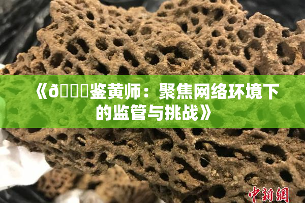 《🔞鉴黄师：聚焦网络环境下的监管与挑战》
