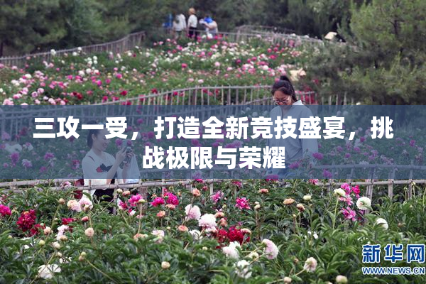 三攻一受，打造全新竞技盛宴，挑战极限与荣耀