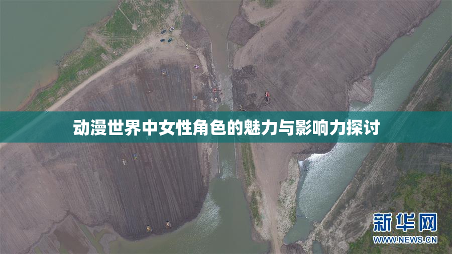动漫世界中女性角色的魅力与影响力探讨