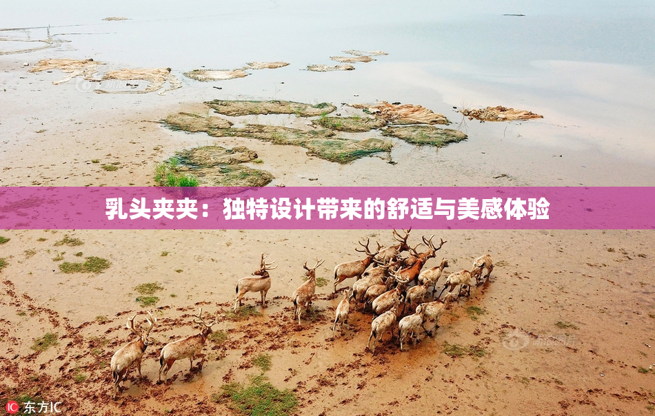 乳头夹夹：独特设计带来的舒适与美感体验