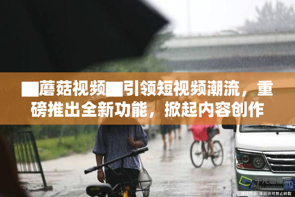 ▇蘑菇视频▇引领短视频潮流，重磅推出全新功能，掀起内容创作热潮！