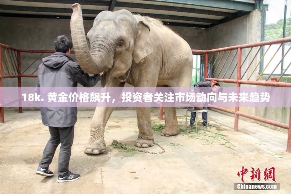 18k. 黄金价格飙升，投资者关注市场动向与未来趋势