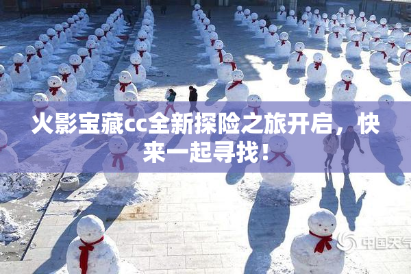 火影宝藏cc全新探险之旅开启，快来一起寻找！
