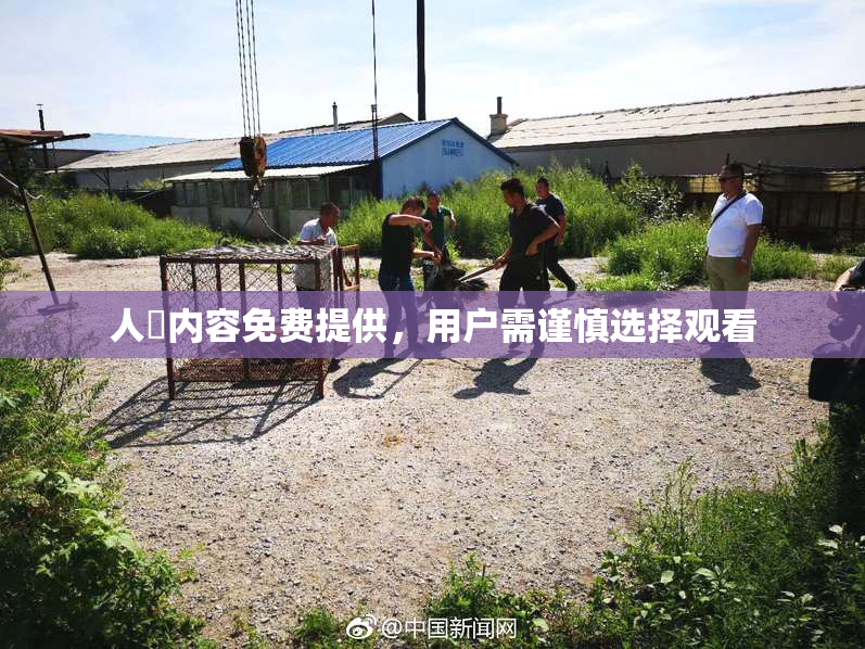人婬内容免费提供，用户需谨慎选择观看