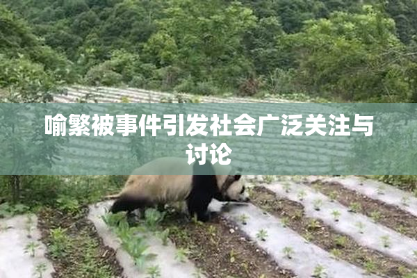 喻繁被事件引发社会广泛关注与讨论