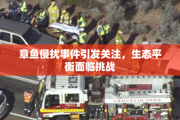 章鱼侵扰事件引发关注，生态平衡面临挑战