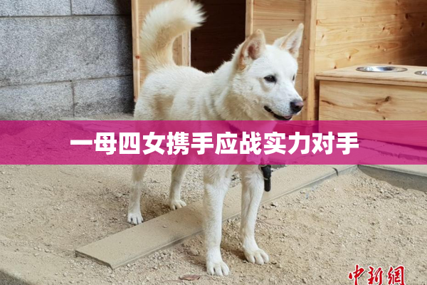 一母四女携手应战实力对手