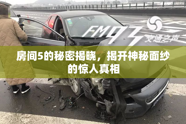 房间5的秘密揭晓，揭开神秘面纱的惊人真相
