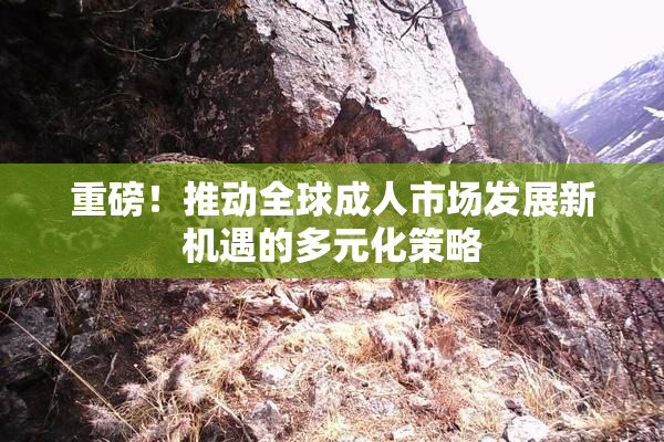 重磅！推动全球成人市场发展新机遇的多元化策略