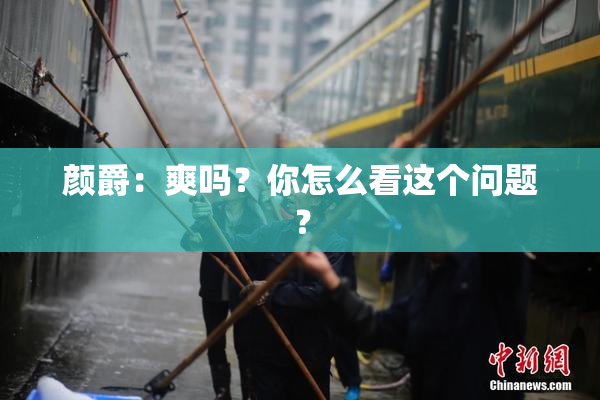 颜爵：爽吗？你怎么看这个问题？