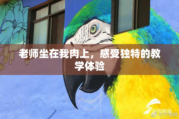 老师坐在我肉上，感受独特的教学体验