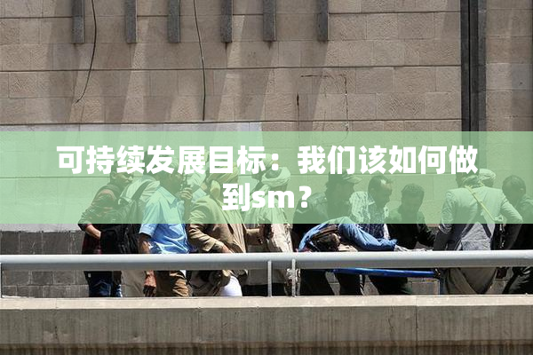可持续发展目标：我们该如何做到sm？