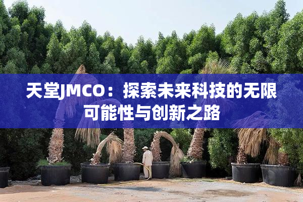 天堂JMCO：探索未来科技的无限可能性与创新之路