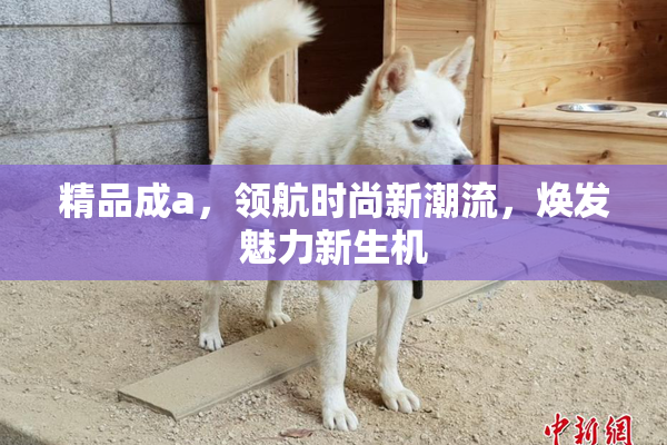精品成a，领航时尚新潮流，焕发魅力新生机