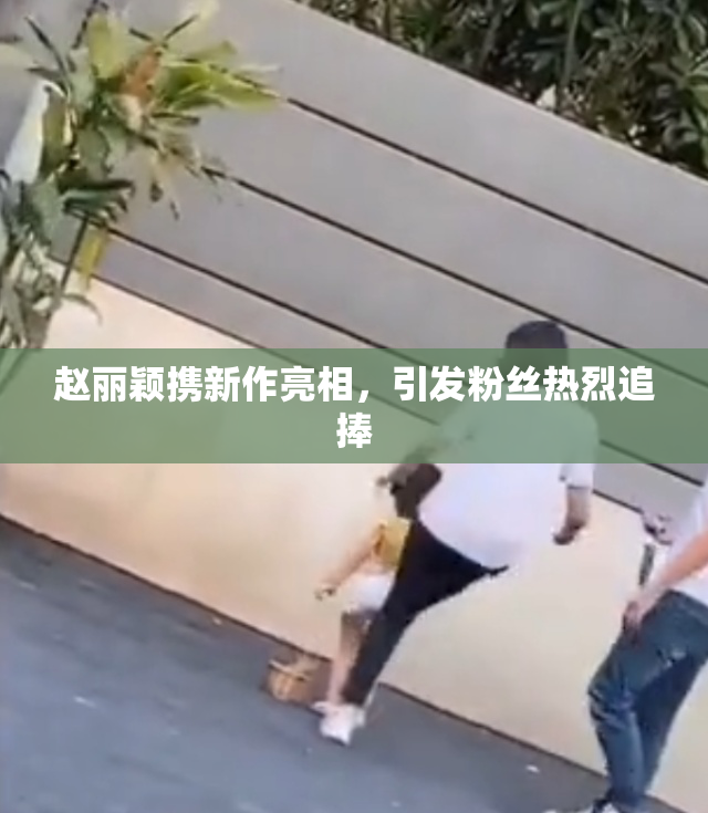 赵丽颖携新作亮相，引发粉丝热烈追捧