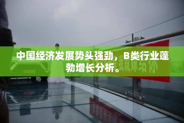 中国经济发展势头强劲，B类行业蓬勃增长分析。