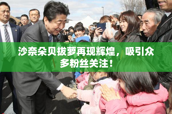 沙奈朵贝拔萝再现辉煌，吸引众多粉丝关注！