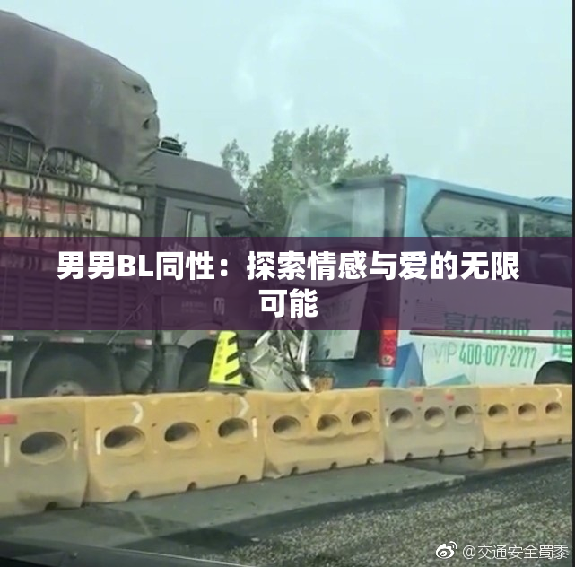 男男BL同性：探索情感与爱的无限可能