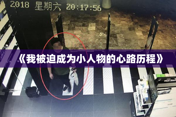 《我被迫成为小人物的心路历程》