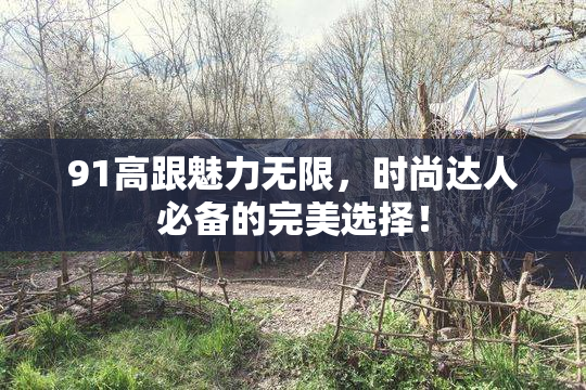 91高跟魅力无限，时尚达人必备的完美选择！