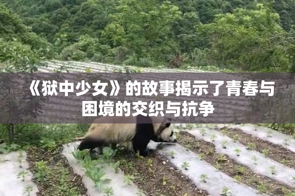 《狱中少女》的故事揭示了青春与困境的交织与抗争