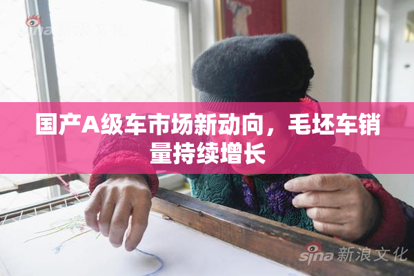 国产A级车市场新动向，毛坯车销量持续增长