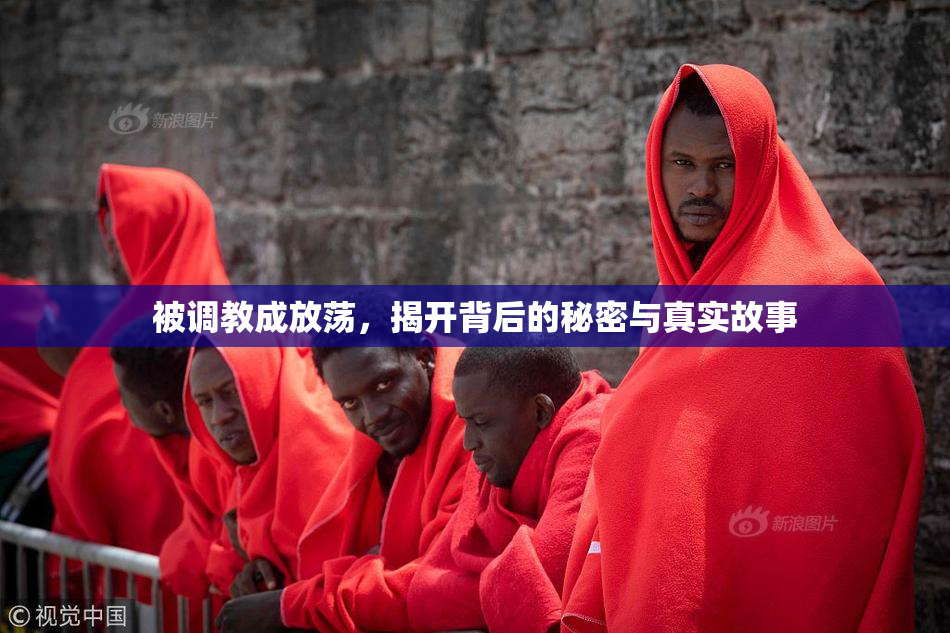 被调教成放荡，揭开背后的秘密与真实故事
