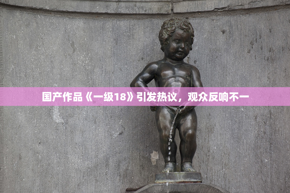 国产作品《一级18》引发热议，观众反响不一