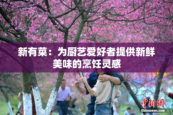 新有菜：为厨艺爱好者提供新鲜美味的烹饪灵感