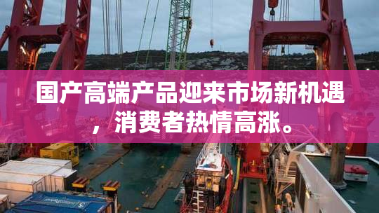 国产高端产品迎来市场新机遇，消费者热情高涨。