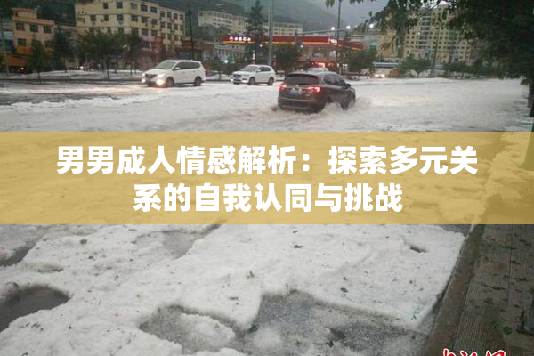 男男成人情感解析：探索多元关系的自我认同与挑战