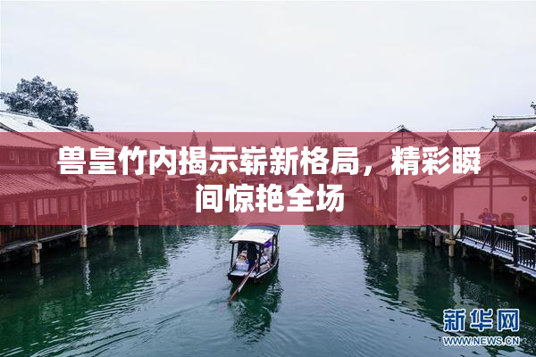 兽皇竹内揭示崭新格局，精彩瞬间惊艳全场