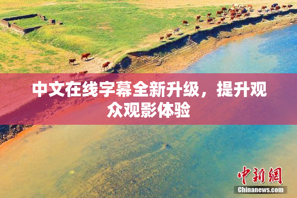 中文在线字幕全新升级，提升观众观影体验