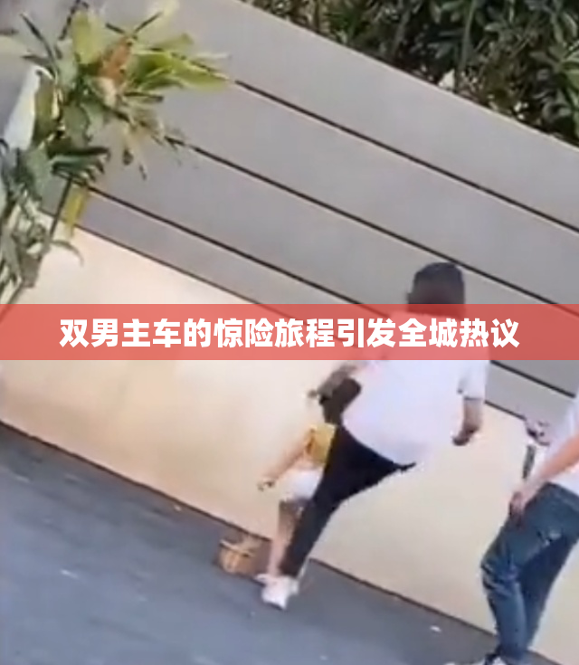 双男主车的惊险旅程引发全城热议