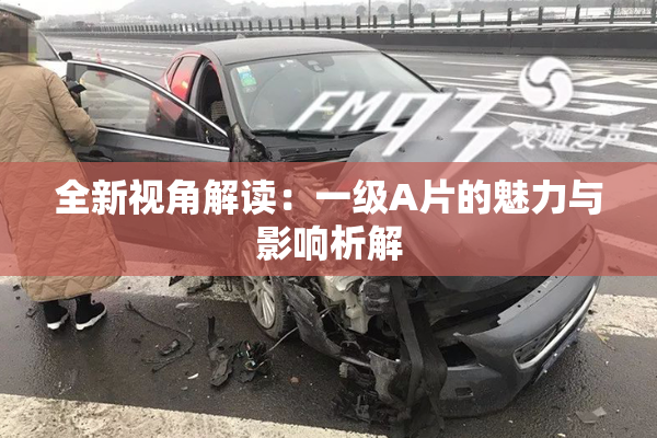 全新视角解读：一级A片的魅力与影响析解