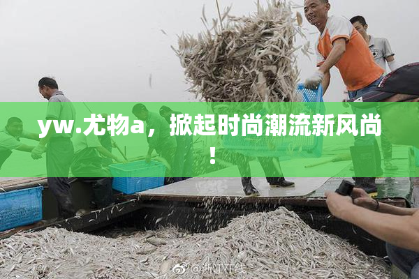 yw.尤物a，掀起时尚潮流新风尚！