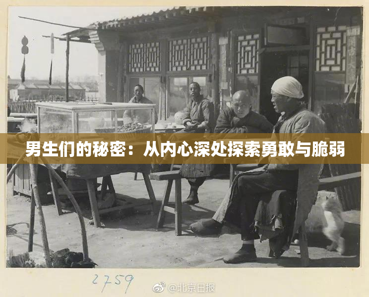 男生们的秘密：从内心深处探索勇敢与脆弱