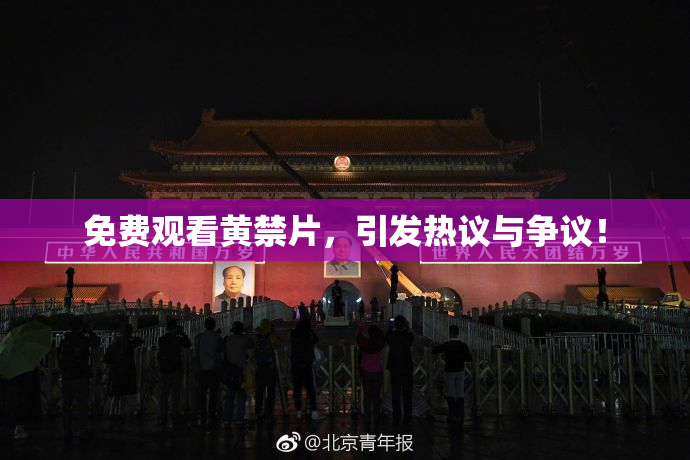 免费观看黄禁片，引发热议与争议！
