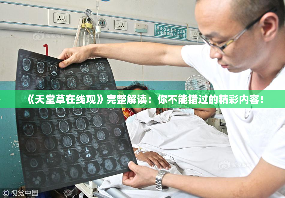 《天堂草在线观》完整解读：你不能错过的精彩内容！
