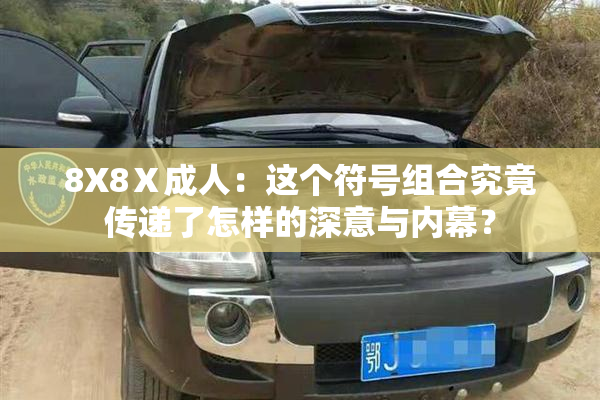 8X8Ⅹ成人：这个符号组合究竟传递了怎样的深意与内幕？