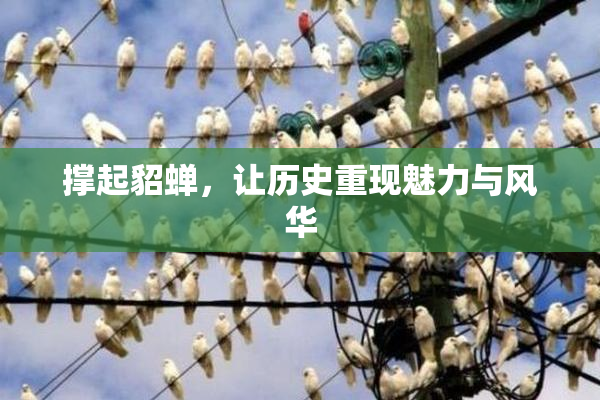 撑起貂蝉，让历史重现魅力与风华