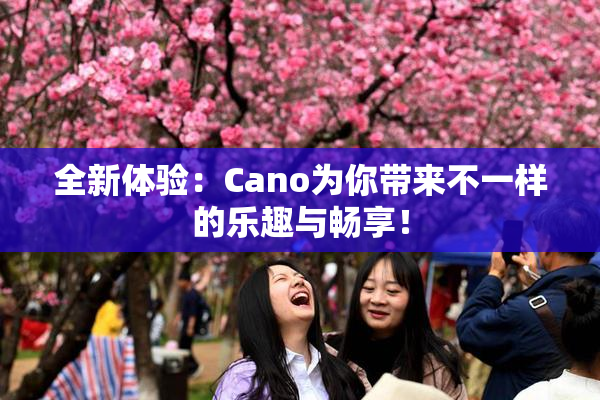 全新体验：Cano为你带来不一样的乐趣与畅享！