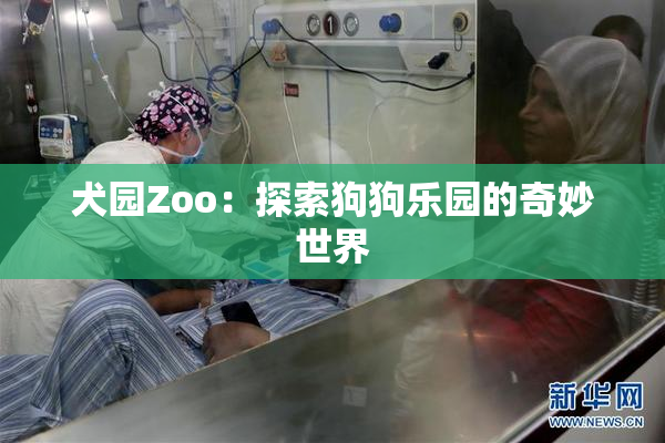 犬园Zoo：探索狗狗乐园的奇妙世界