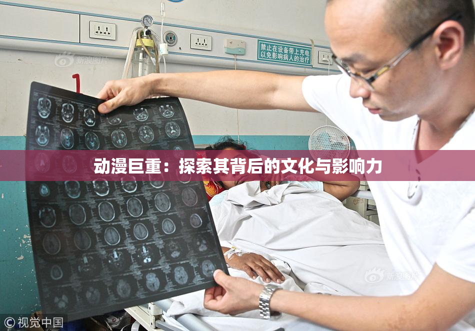 动漫巨重：探索其背后的文化与影响力
