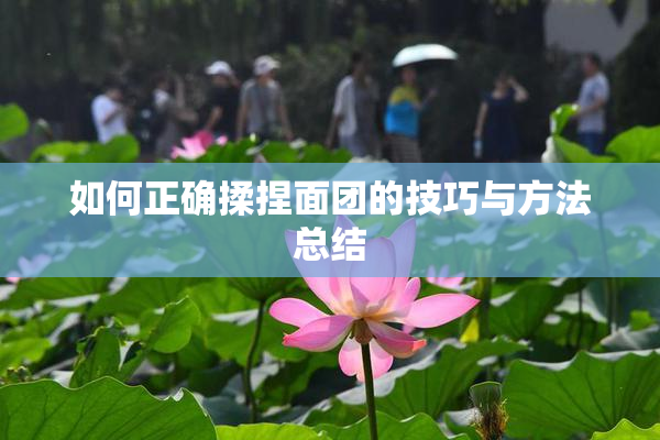 如何正确揉捏面团的技巧与方法总结
