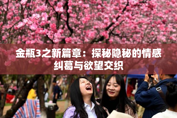 金瓶3之新篇章：探秘隐秘的情感纠葛与欲望交织