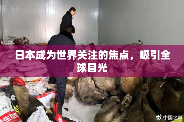 日本成为世界关注的焦点，吸引全球目光